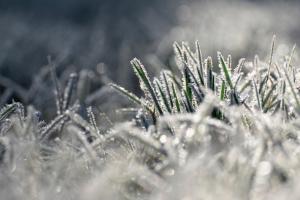 Risc climatic pentru culturile de toamnă din Ucraina