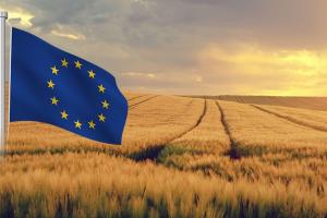 CE reduce estimările pentru cereale în UE, dar majorează prognozele pentru rapiță și floarea-soarelui