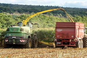 Diferențe uriașe la porumb în România: de la 2 t/ha în Vest la peste 10 t/ha în Est