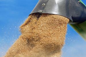 107 milioane de tone de cereale ar putea rămâne pe piața internă din Rusia