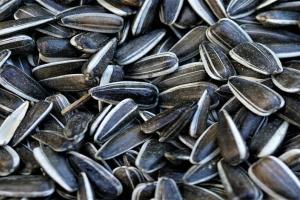 Turcia cumpără cu 35% mai multă floarea-soarelui din România