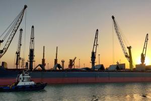 Exporturile din Constanța: plus 3,5 milioane de tone de cereale și oleaginoase în acest an
