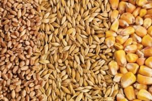 Noile date ale USDA au lovit puternic prețurile: impact și asupra prețului cerealelor din România