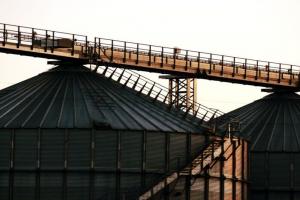 Dezastrul agricol din Franța, confirmat oficial: 10 Mmt de cereale, topite de secetă și arșiță