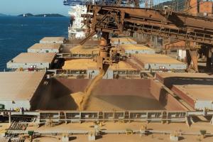 Coreea de Sud a cumpărat alte 134 000 de tone de porumb. Prețul, în scădere