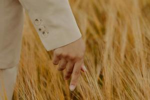 Prețurile cerealelor cresc la Constanța, deși bursele sunt sub presiune