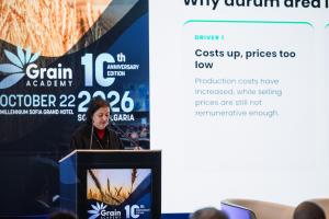 Producția de grâu durum se mută spre est. O oportunitate pentru Bulgaria pe o piață cu deficit de calitate?