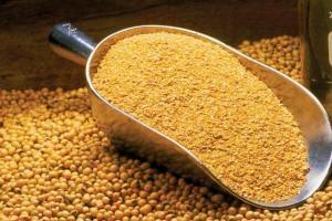 Incertitudinea domină piețele globale de cereale și oleaginoase